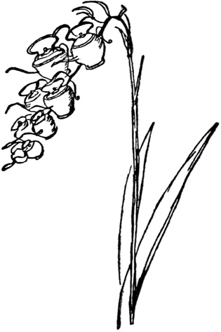 Иллюстрация к книге — Чистый nonsense [_369.jpg]