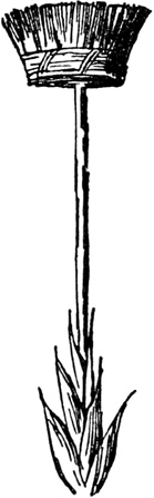 Иллюстрация к книге — Чистый nonsense [_371.jpg]