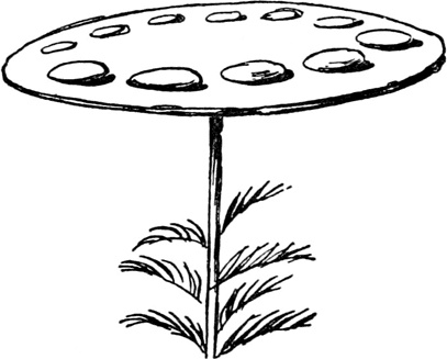 Иллюстрация к книге — Чистый nonsense [_373.jpg]