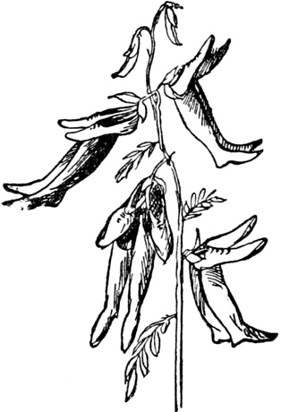 Иллюстрация к книге — Чистый nonsense [_374.jpg]