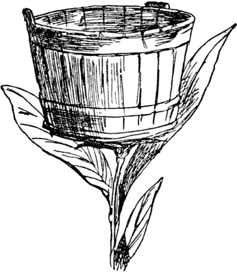 Иллюстрация к книге — Чистый nonsense [_377.jpg]