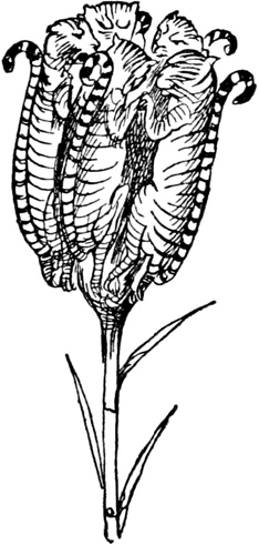 Иллюстрация к книге — Чистый nonsense [_378.jpg]