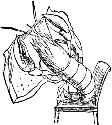 Иллюстрация к книге — Чистый nonsense [_390.jpg]