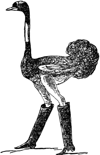 Иллюстрация к книге — Чистый nonsense [_393.jpg]