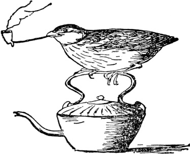 Иллюстрация к книге — Чистый nonsense [_395.jpg]