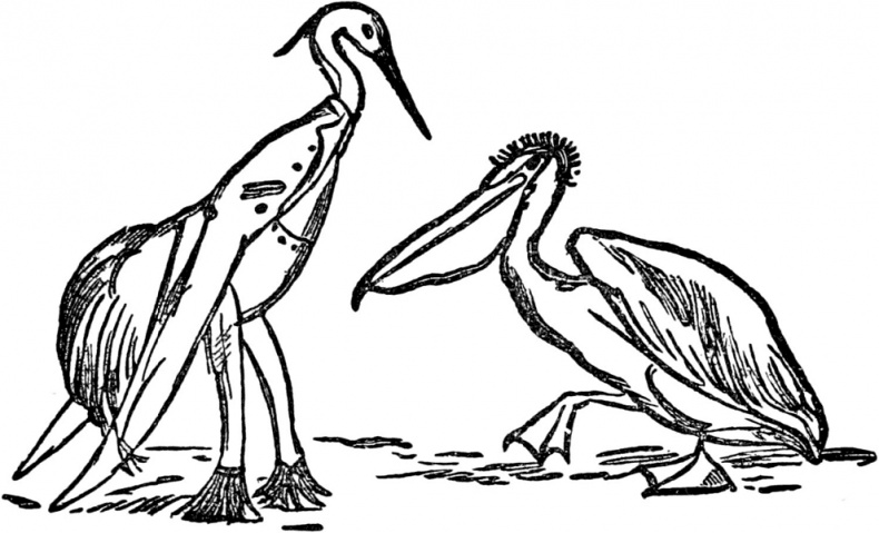 Иллюстрация к книге — Чистый nonsense [_408.jpg]