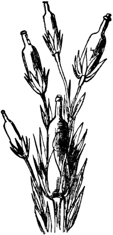 Иллюстрация к книге — Чистый nonsense [_415.jpg]