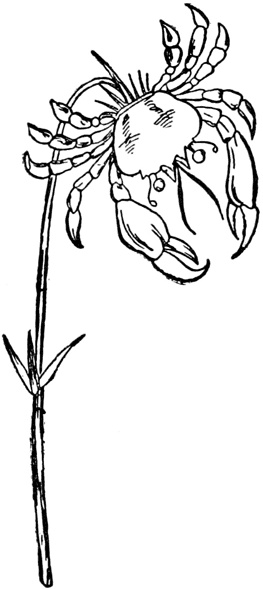 Иллюстрация к книге — Чистый nonsense [_418.jpg]