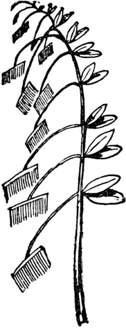 Иллюстрация к книге — Чистый nonsense [_419.jpg]