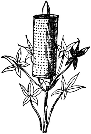 Иллюстрация к книге — Чистый nonsense [_420.jpg]