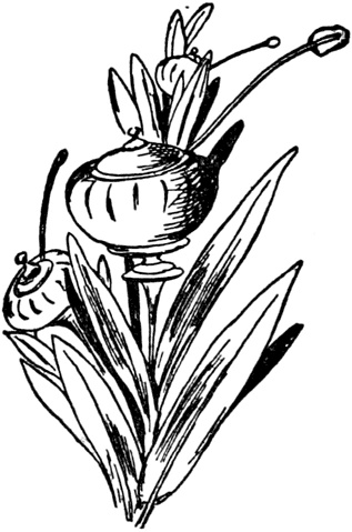 Иллюстрация к книге — Чистый nonsense [_421.jpg]