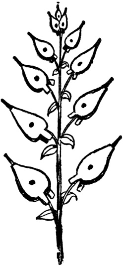 Иллюстрация к книге — Чистый nonsense [_422.jpg]