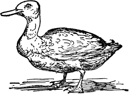 Иллюстрация к книге — Чистый nonsense [_427.jpg]