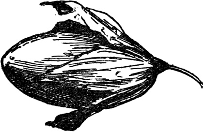 Иллюстрация к книге — Чистый nonsense [_437.jpg]