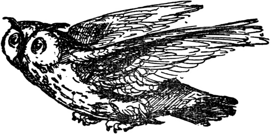 Иллюстрация к книге — Чистый nonsense [_438.jpg]