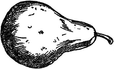 Иллюстрация к книге — Чистый nonsense [_440.jpg]