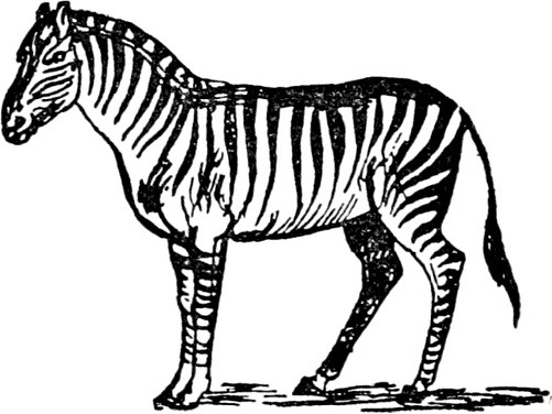 Иллюстрация к книге — Чистый nonsense [_449.jpg]