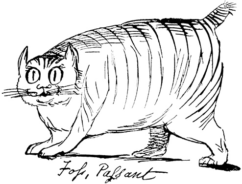 Иллюстрация к книге — Чистый nonsense [_484.jpg]