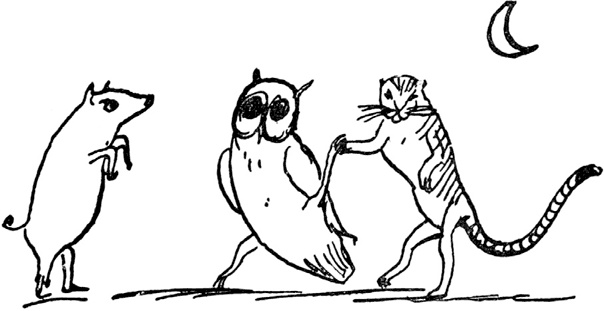 Иллюстрация к книге — Чистый nonsense [_488.jpg]