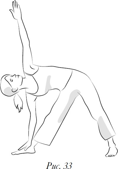 Иллюстрация к книге — Йога. 7 духовных законов. Как исцелить свое тело, разум и дух [i_043.jpg]