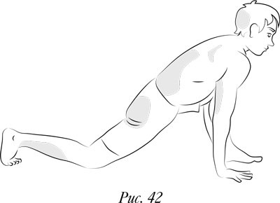 Иллюстрация к книге — Йога. 7 духовных законов. Как исцелить свое тело, разум и дух [i_051.jpg]