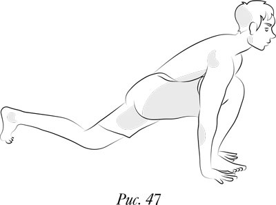 Иллюстрация к книге — Йога. 7 духовных законов. Как исцелить свое тело, разум и дух [i_056.jpg]