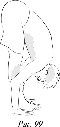 Иллюстрация к книге — Йога. 7 духовных законов. Как исцелить свое тело, разум и дух [i_106.jpg]