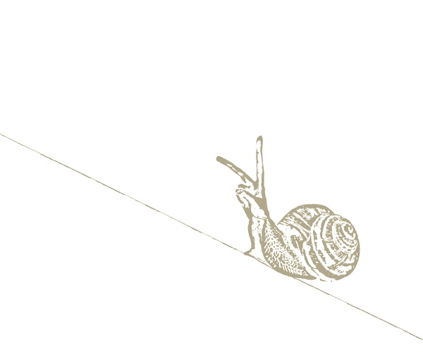 Иллюстрация к книге — Тайные виды на гору Фудзи [i_003.jpg]