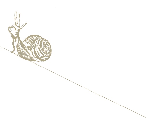 Иллюстрация к книге — Тайные виды на гору Фудзи [i_005.jpg]