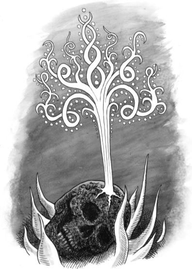 Иллюстрация к книге — Уйти красиво. Удивительные похоронные обряды разных стран [i_007.jpg]