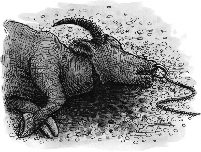 Иллюстрация к книге — Уйти красиво. Удивительные похоронные обряды разных стран [i_012.jpg]