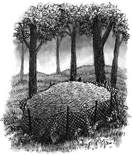 Иллюстрация к книге — Уйти красиво. Удивительные похоронные обряды разных стран [i_026.jpg]