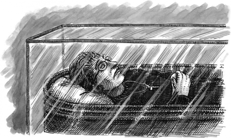 Иллюстрация к книге — Уйти красиво. Удивительные похоронные обряды разных стран [i_027.jpg]