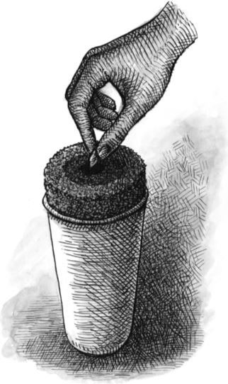 Иллюстрация к книге — Уйти красиво. Удивительные похоронные обряды разных стран [i_028.jpg]