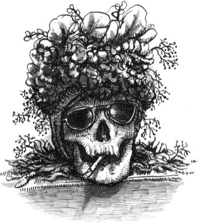 Иллюстрация к книге — Уйти красиво. Удивительные похоронные обряды разных стран [i_037.jpg]