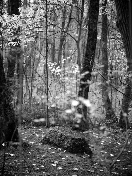 Иллюстрация к книге — Лев Толстой [i_029.jpg]