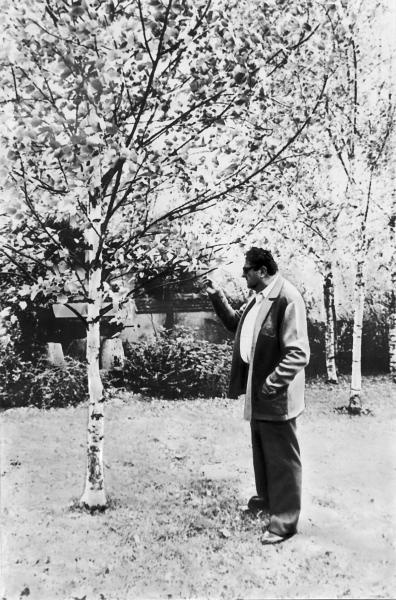 Иллюстрация к книге — Моя столь длинная дорога [_30.jpg]