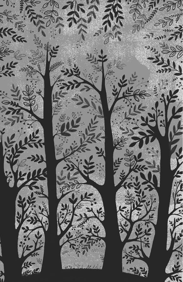 Иллюстрация к книге — Эхо [i_001.jpg]