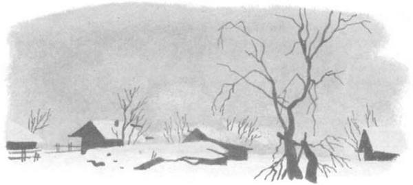 Иллюстрация к книге — Василий Белов. Рассказы о всякой живности [i_017.jpg]