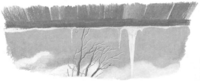 Иллюстрация к книге — Василий Белов. Рассказы о всякой живности [i_025.jpg]