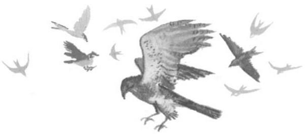 Иллюстрация к книге — Василий Белов. Рассказы о всякой живности [i_045.jpg]