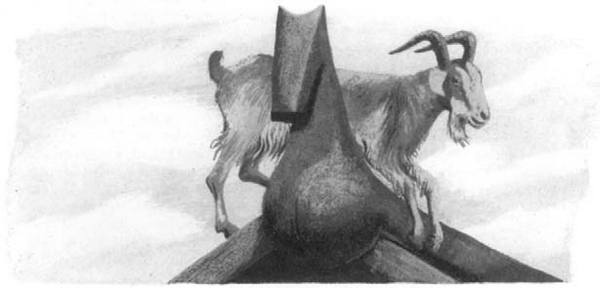 Иллюстрация к книге — Василий Белов. Рассказы о всякой живности [i_049.jpg]