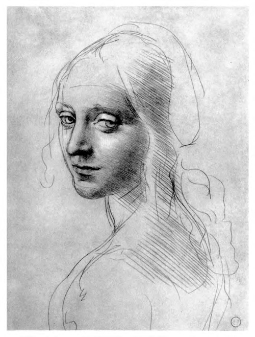 Иллюстрация к книге — Впереди веков. Историческая повесть из жизни Леонардо да Винчи [i_003.jpg]