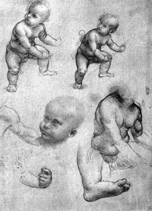 Иллюстрация к книге — Впереди веков. Историческая повесть из жизни Леонардо да Винчи [i_007.jpg]