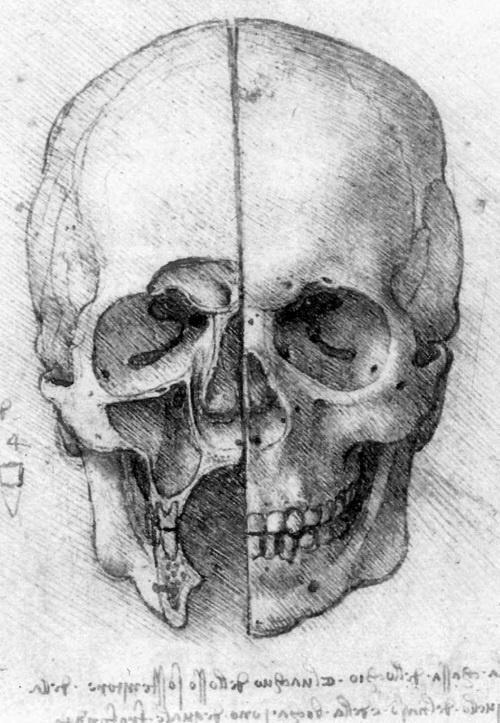 Иллюстрация к книге — Впереди веков. Историческая повесть из жизни Леонардо да Винчи [i_027.jpg]