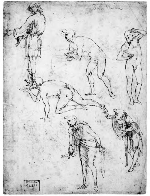 Иллюстрация к книге — Впереди веков. Историческая повесть из жизни Леонардо да Винчи [i_037.jpg]