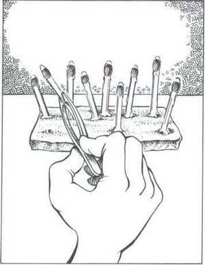 Иллюстрация к книге — 36,6 градусов. Искусство оставаться в живых! [_1414.jpg]