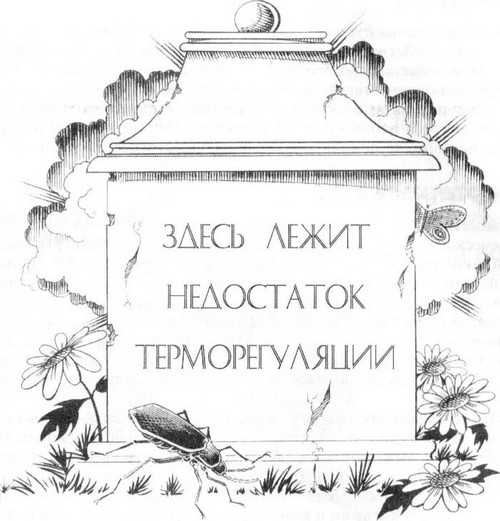 Иллюстрация к книге — 36,6 градусов. Искусство оставаться в живых! [_81.jpg]