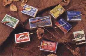 Иллюстрация к книге — 36,6 градусов. Искусство оставаться в живых! [p1806.jpg]