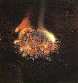 Иллюстрация к книге — 36,6 градусов. Искусство оставаться в живых! [p1816.jpg]